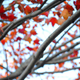 Image for article titled Shooting Challenge Freelensing Gallery 1